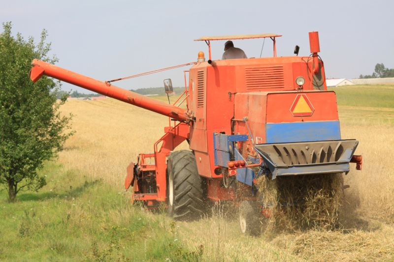 Podział i zastosowanie łańcuchów rolkowych